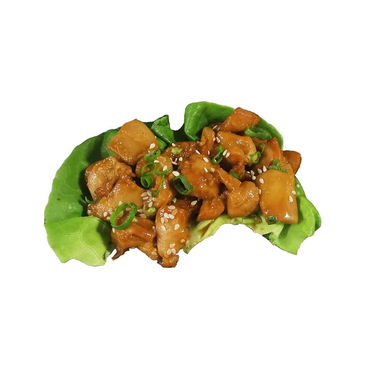 Tori Teriyaki (雞丁)